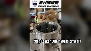 โซลูชันประสิทธิภาพสูงซีลเครื่องกวน 150 มม